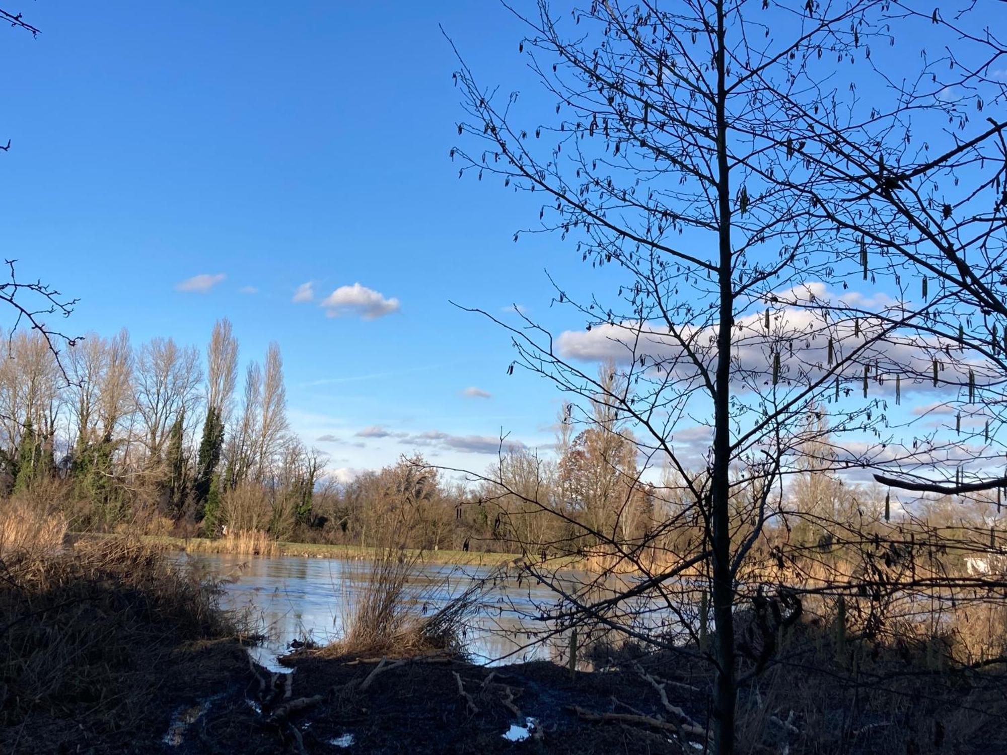 Au Calme Dans Maison En Rez De Jardin A 2,2 Kms Du Groupama Stadium Et Salle Ldlc Arena Meyzieu Extérieur photo